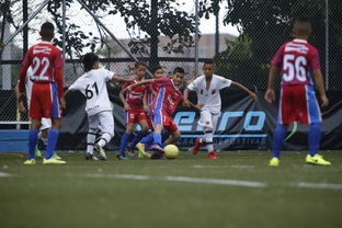 九游娱乐在线-中国足球青训成果展示会在多地举办，中国足球青训比赛